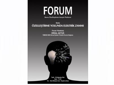 ÖZELLEŞTİRME YOLUNDA ELEKTRİK ZAMMI (FORUM)