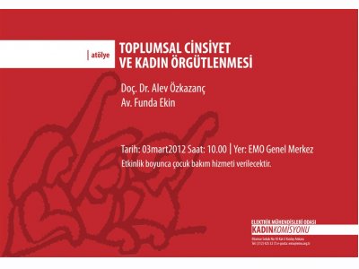 ATÖLYE ÇALIŞMASI: TOPLUMSAL CİNSİYET VE KADIN ÖRGÜTLENMESİ