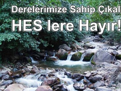 HİDROELEKTRİK SANTRALLERİN EKOLOJİK, BİLİMSEL VE SOSYAL BOYUTLARI PANELİ DÜZENLENECEK