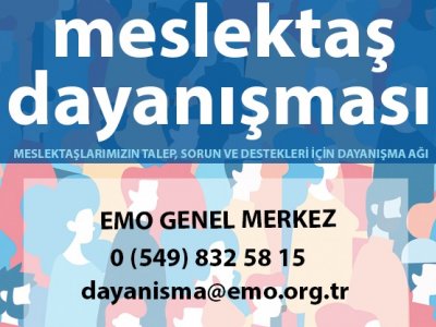 MESLEKTAŞ DAYANIŞMASI AĞI