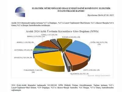 TÜRKİYE ELEKTRİK ENERJİSİ İSTATİSTİKLERİ ARALIK 2024 YAYINLANDI