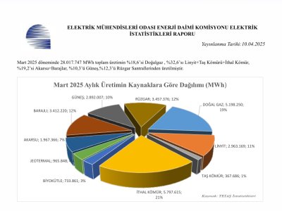 TÜRKİYE ELEKTRİK ENERJİSİ İSTATİSTİKLERİ MART 2025 YAYIMLANDI